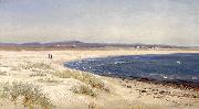 Amaldus Clarin Nielsen Mennesker pa en strand oil